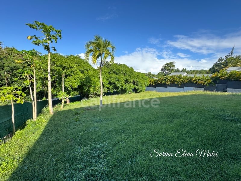 Maison à vendre, 244m², Sainte-Anne