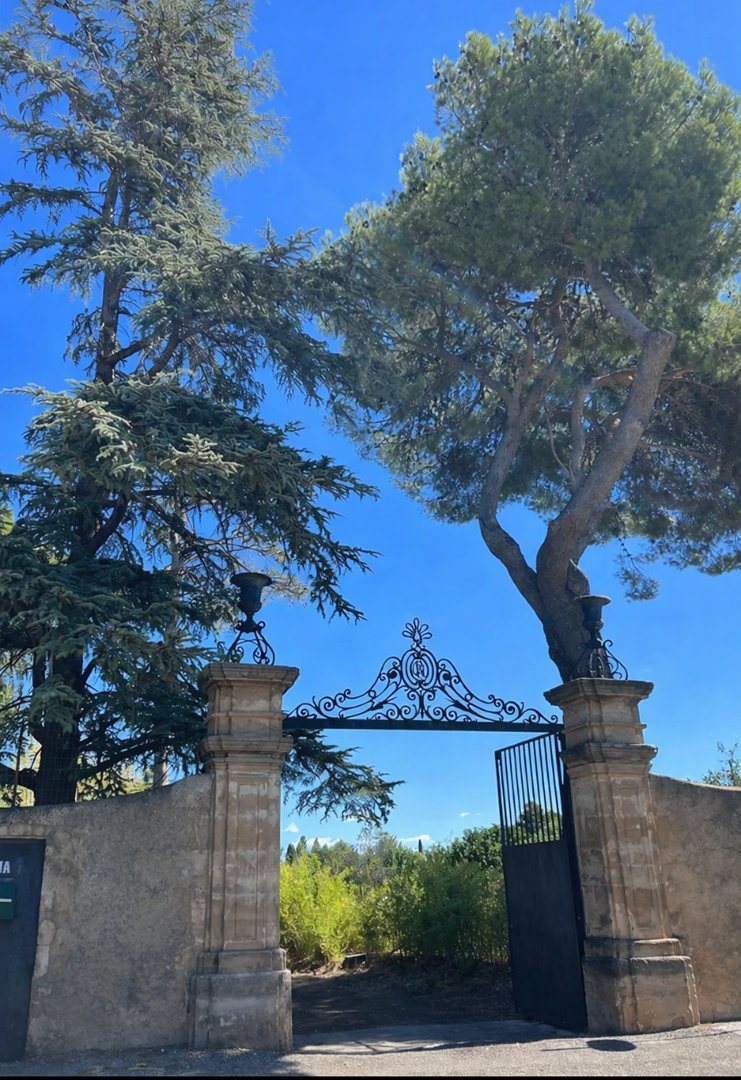 Maison à vendre, 780m², Saint-André-de-Sangonis