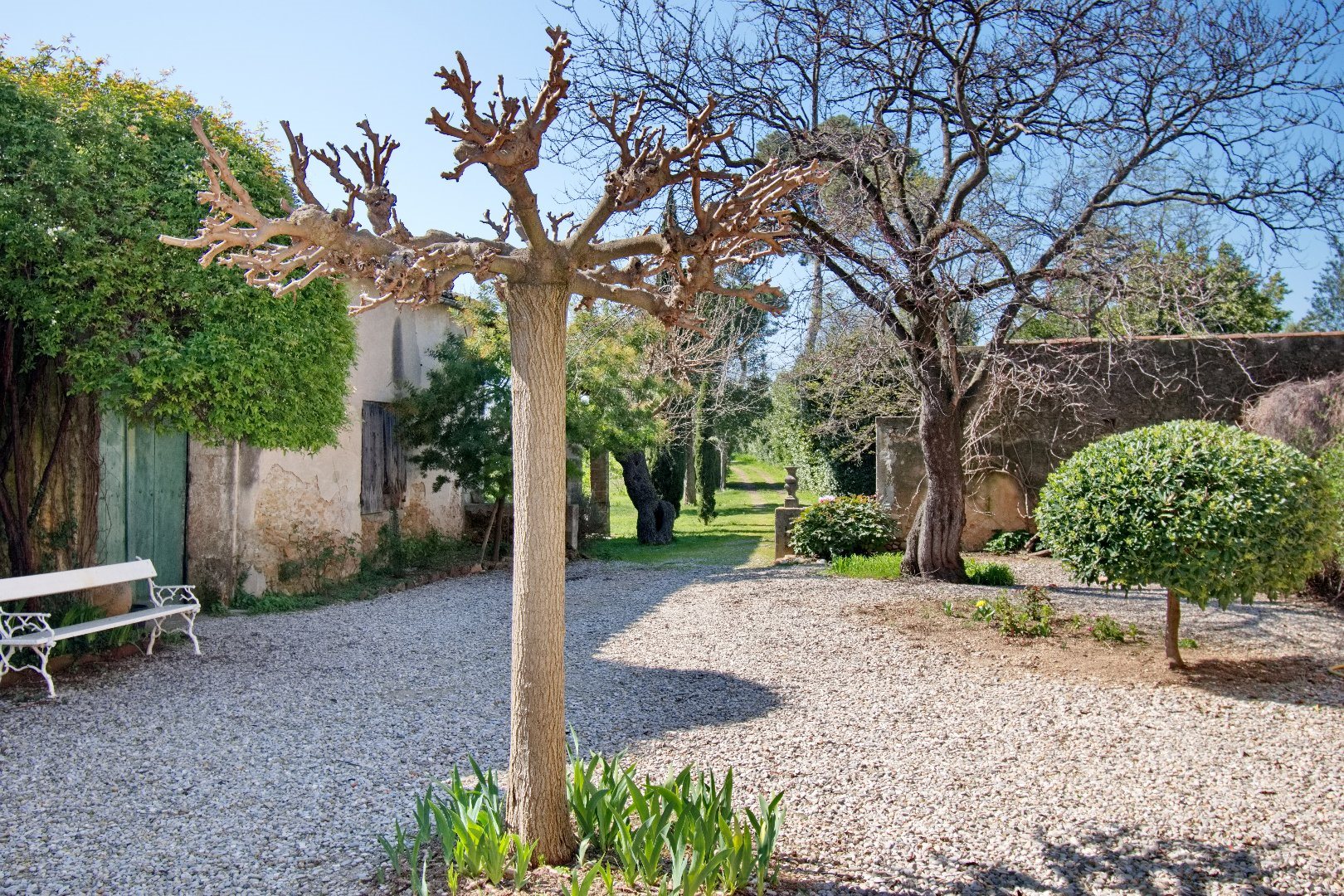 Maison à vendre, 780m², Saint-André-de-Sangonis
