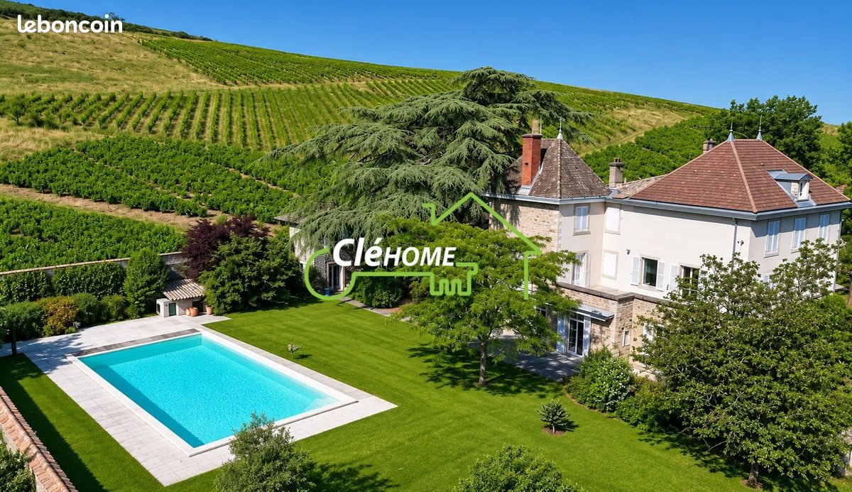 Maison à vendre, 298m², Quincié-en-Beaujolais