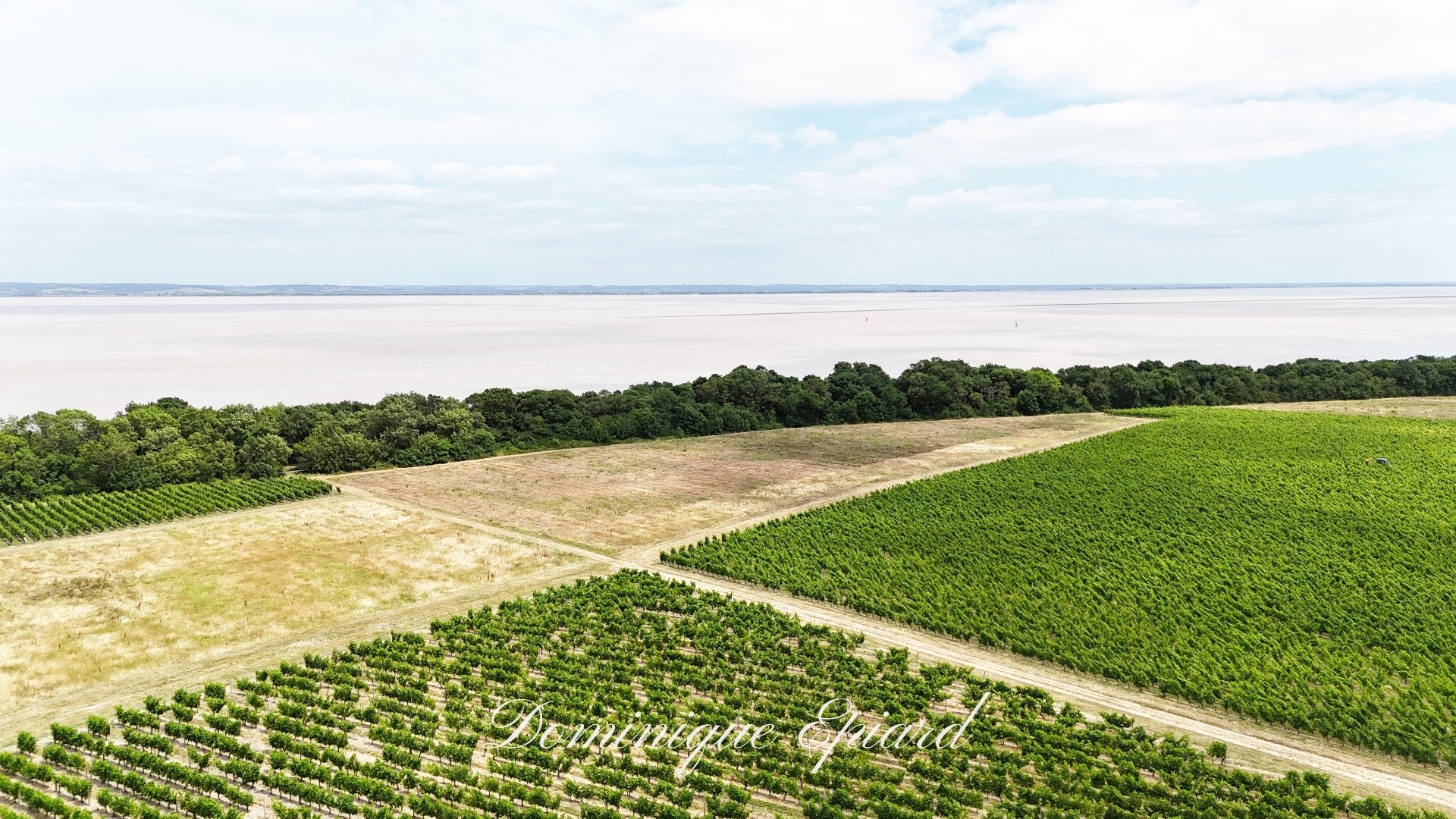 Maison à vendre, 1357m², Saint-Yzans-de-Médoc