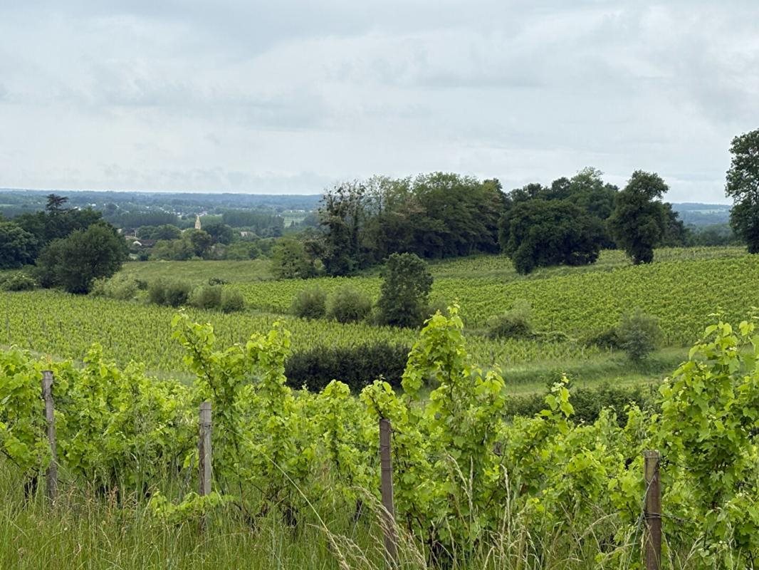 Maison à vendre, 200m², Sainte-Croix-du-Mont