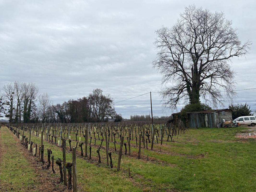 Maison à vendre, 277m², Saint-Pey-d'Armens