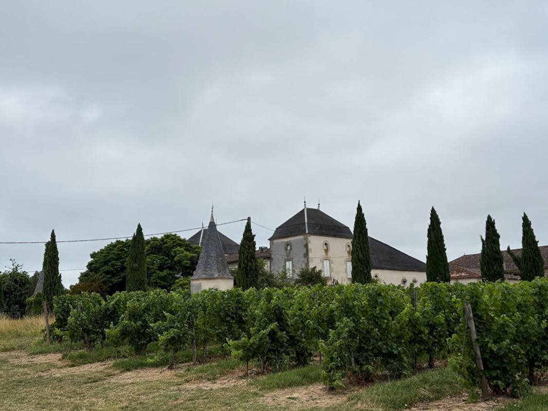 Maison à vendre, 550m², Massugas