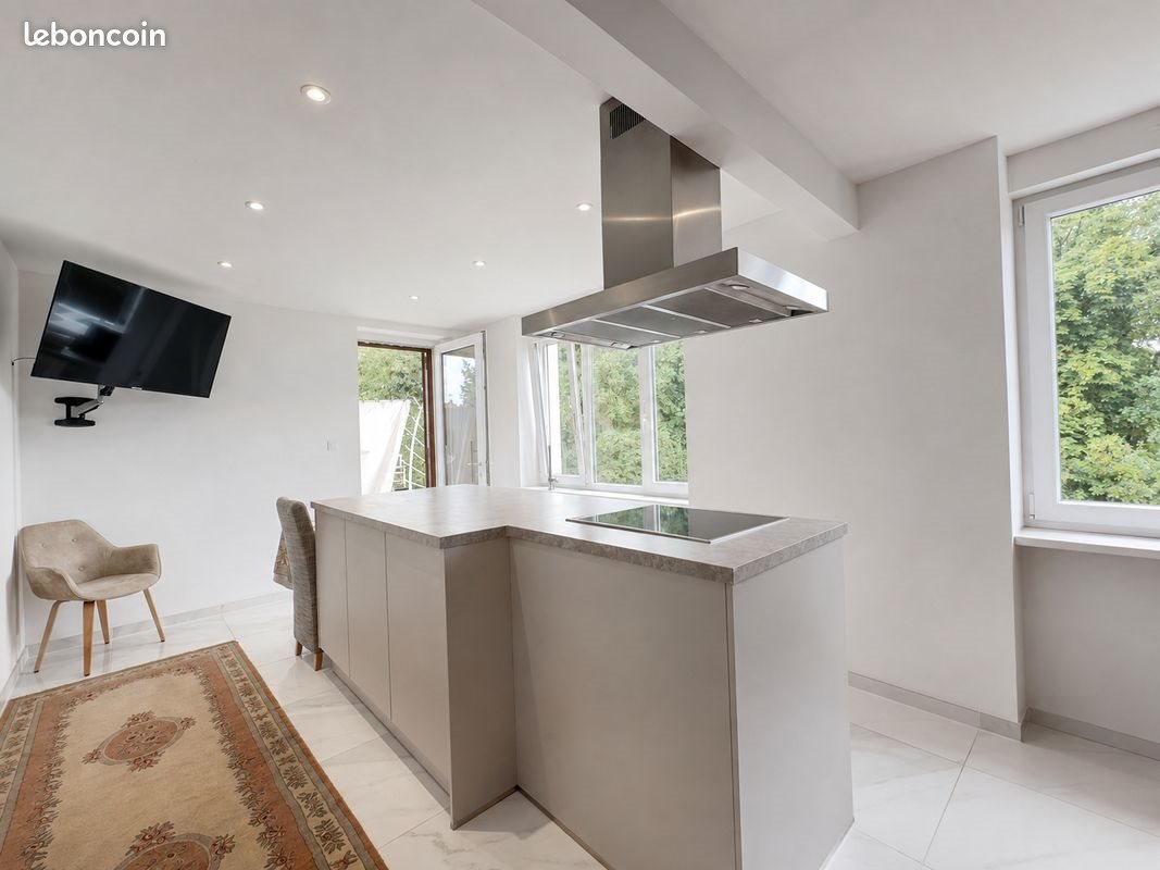 Maison à vendre, 350m², Sarreguemines