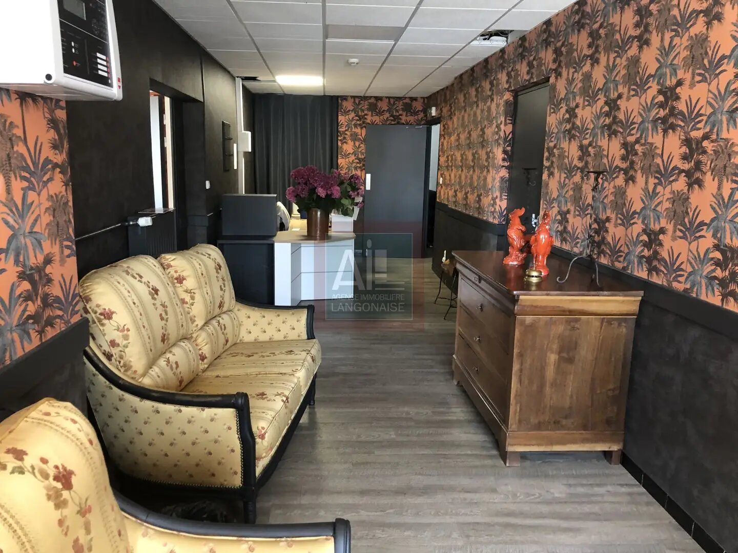 Maison à vendre, 400m², Saint-Haon