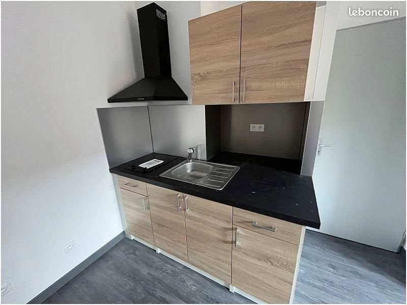 Appartement à louer, 31m², Faches-Thumesnil