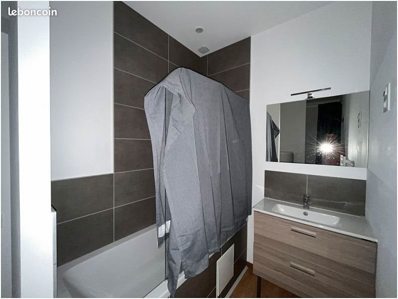 Appartement à louer, 31m², Faches-Thumesnil