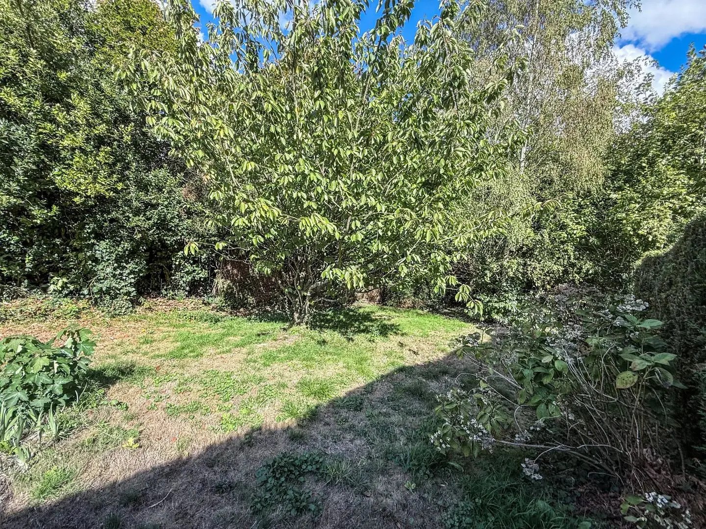 Maison à vendre, 85m², Mont-Saint-Aignan