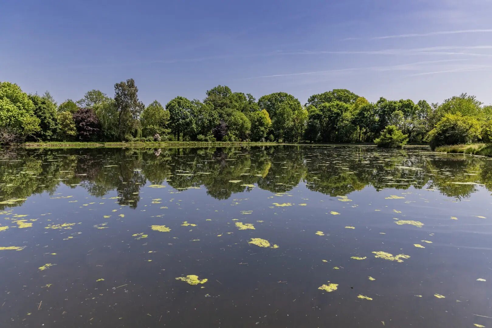 Maison à vendre, 450m², Bougarber