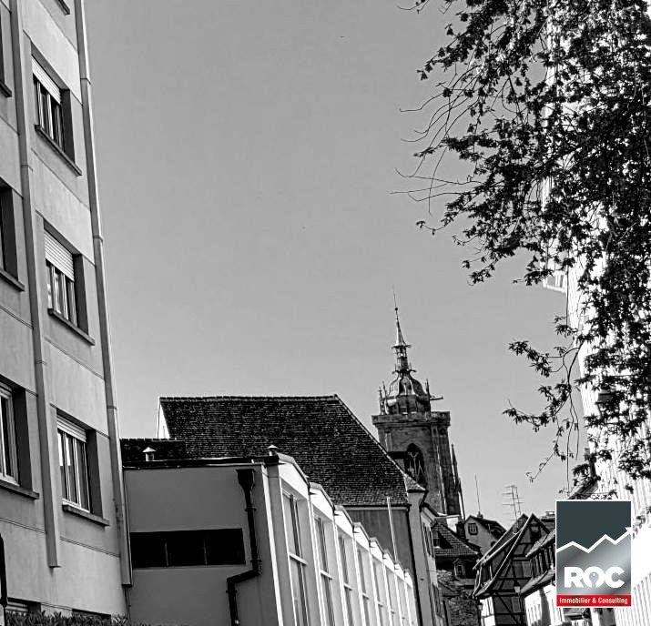Appartement à vendre, 24m², Colmar