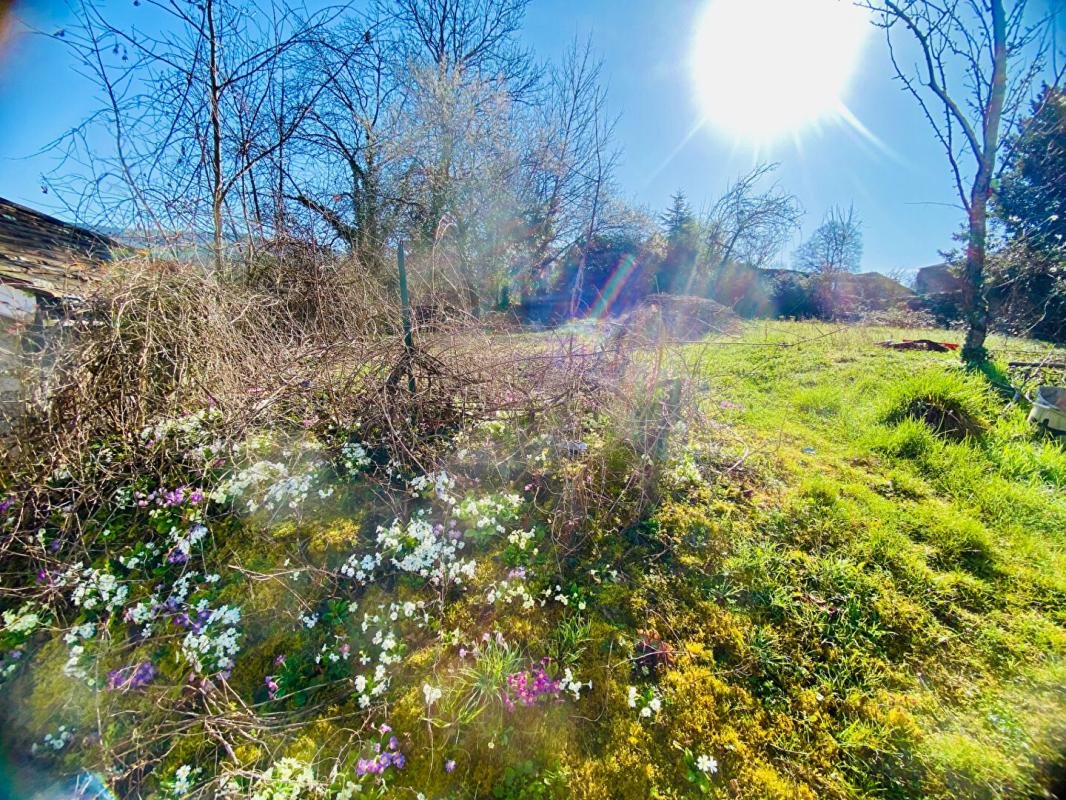Maison à vendre, 252m², Saint-Amour