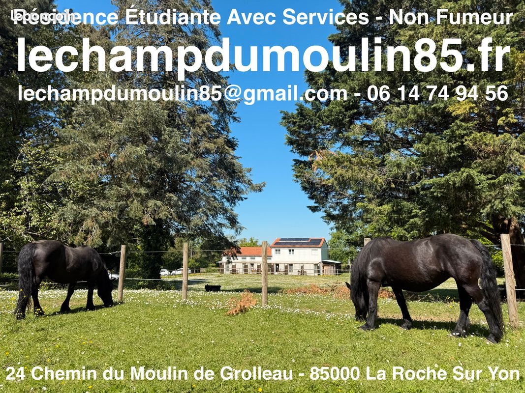 Appartement à louer, 18m², La Roche-sur-Yon
