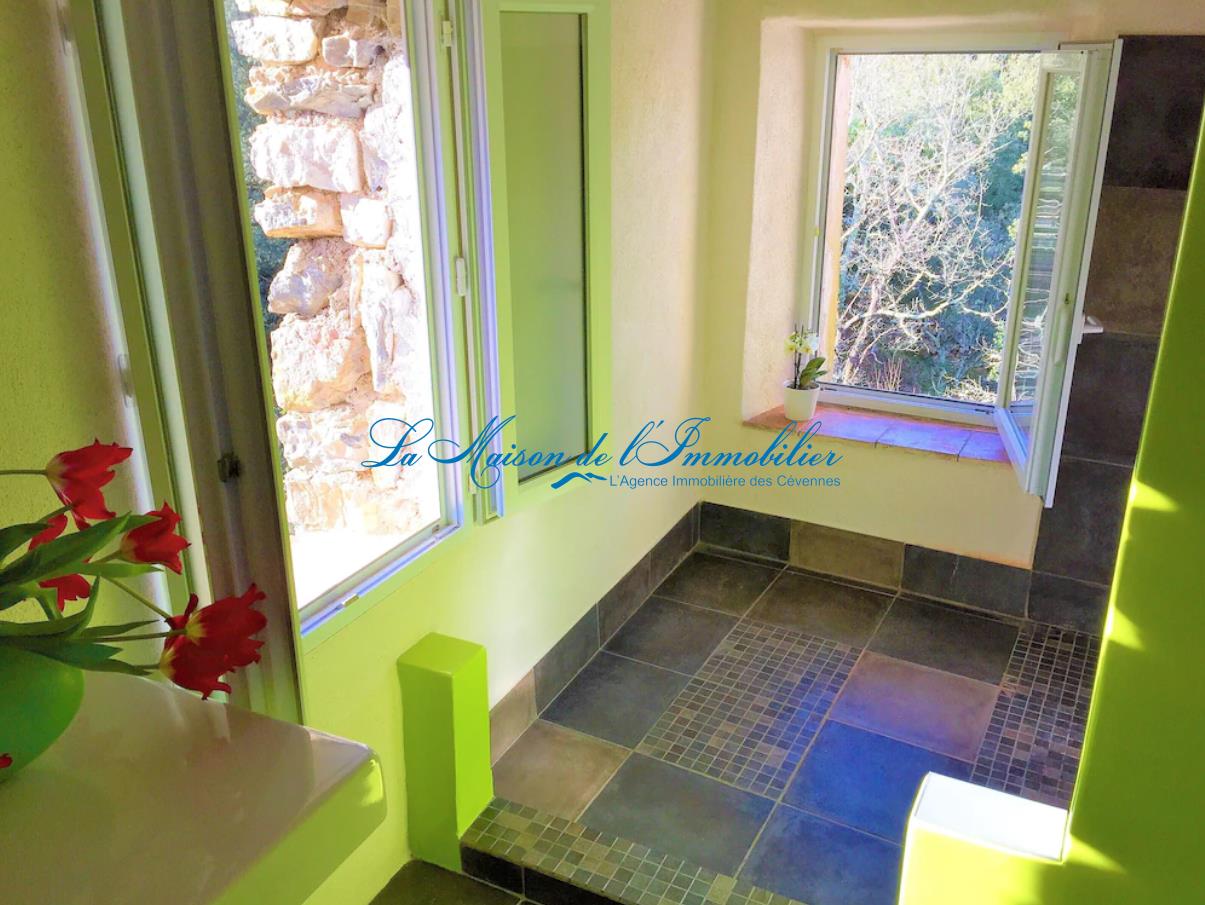 Maison à vendre, 359m², Cros