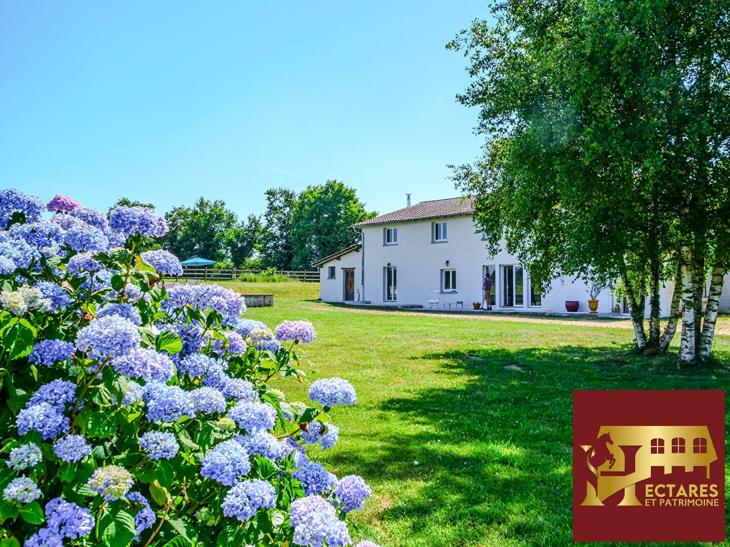 Maison à vendre, 648m², Neuville-les-Dames