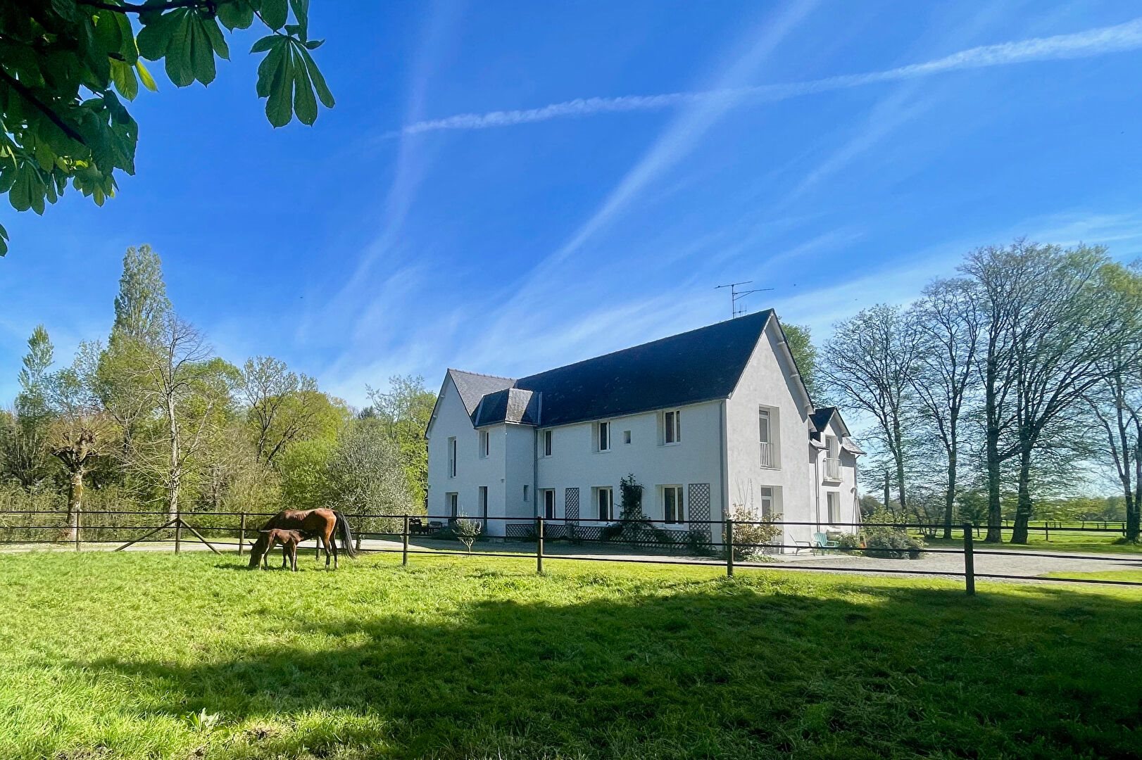 Maison à vendre, 260m², Saffré