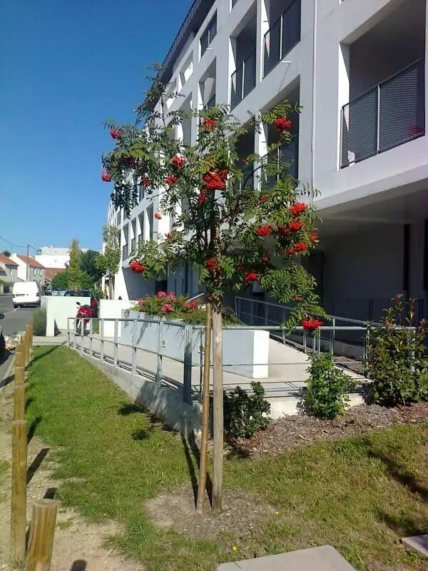 Appartement à louer, 46m², Saint-Herblain