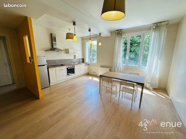 Appartement à louer, 46m², Saint-Etienne