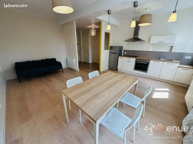 Appartement à louer, 46m², Saint-Etienne