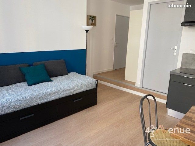 Appartement à louer, 23m², Saint-Etienne