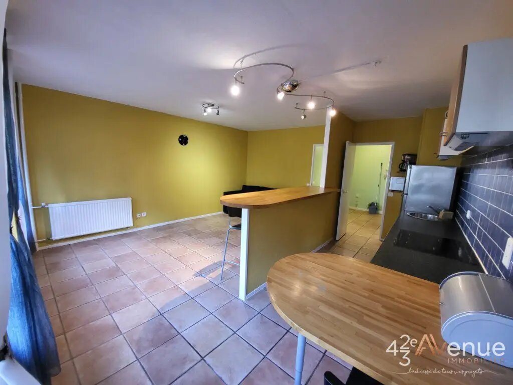 Appartement à louer, 52m², Saint-Etienne