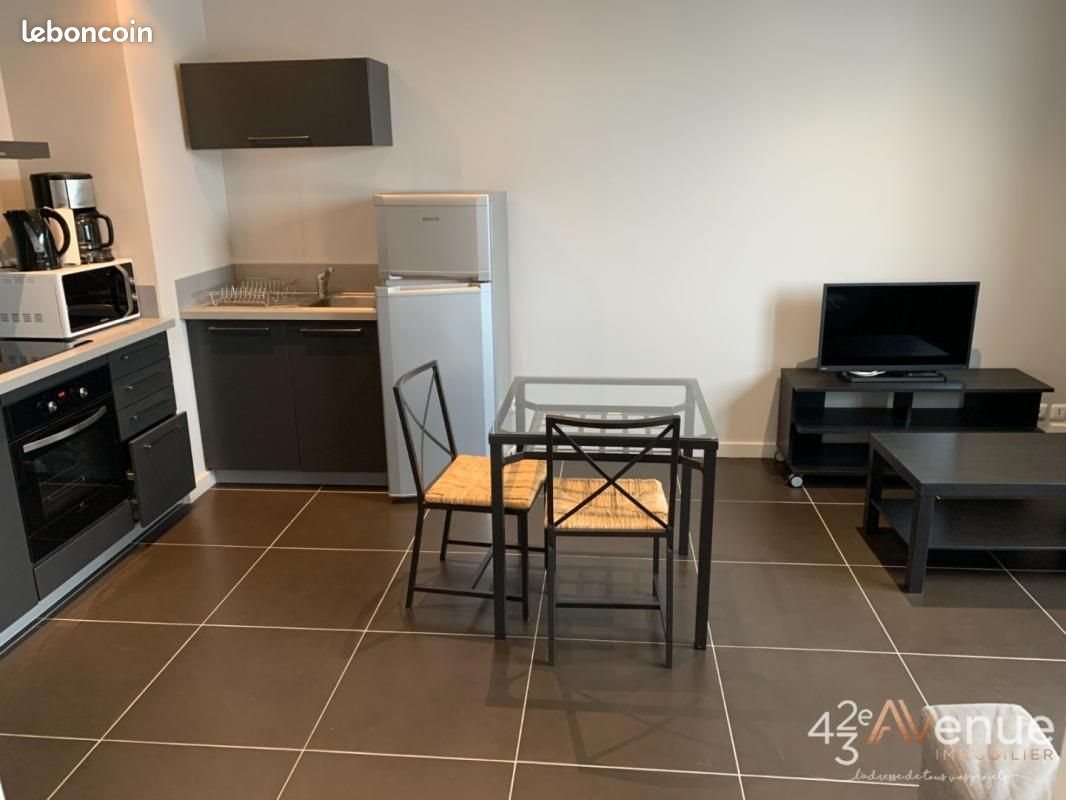 Appartement à louer, 34m², Saint-Etienne