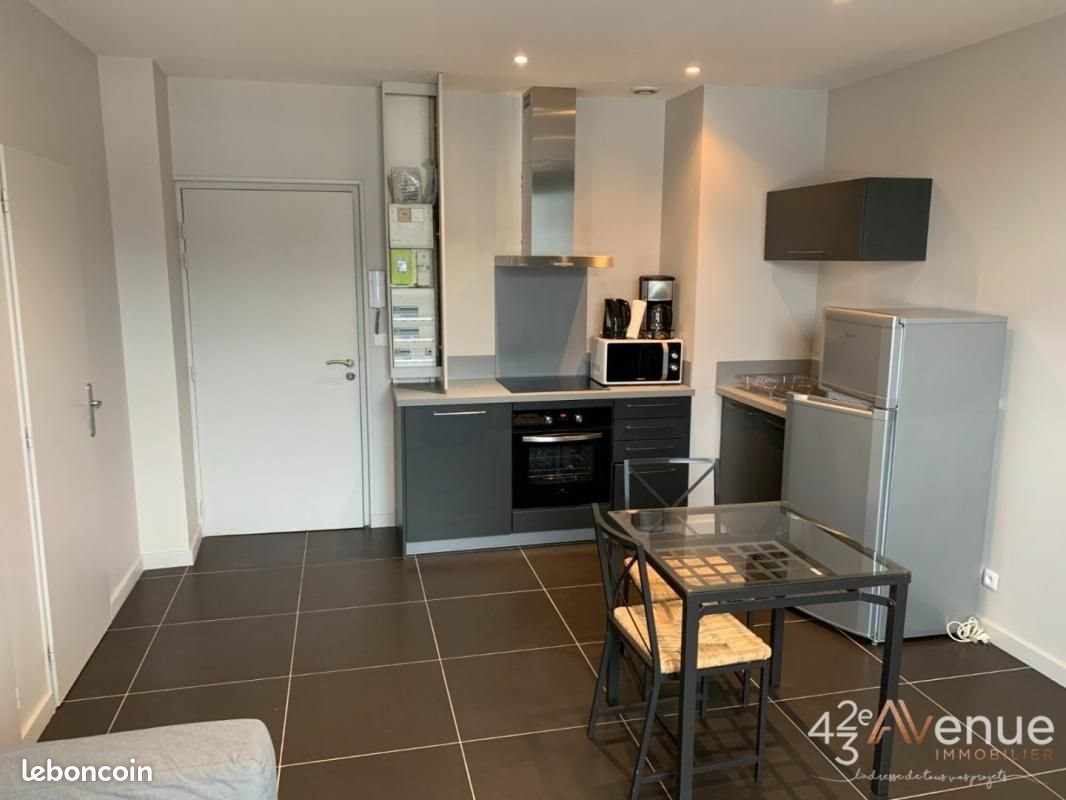 Appartement à louer, 34m², Saint-Etienne