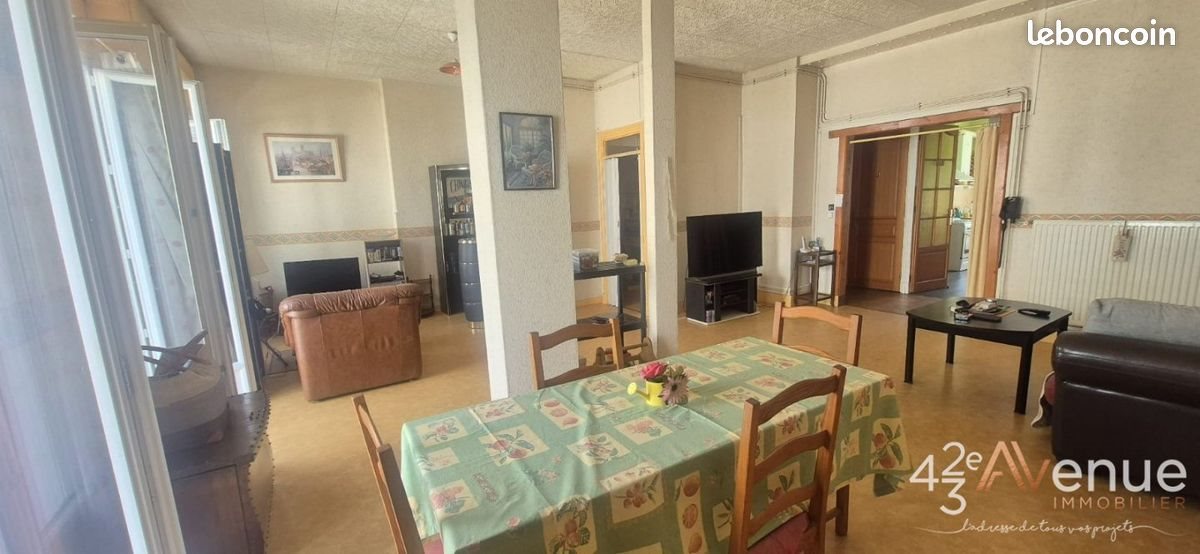 Appartement à vendre, 117m², Le Chambon-Feugerolles