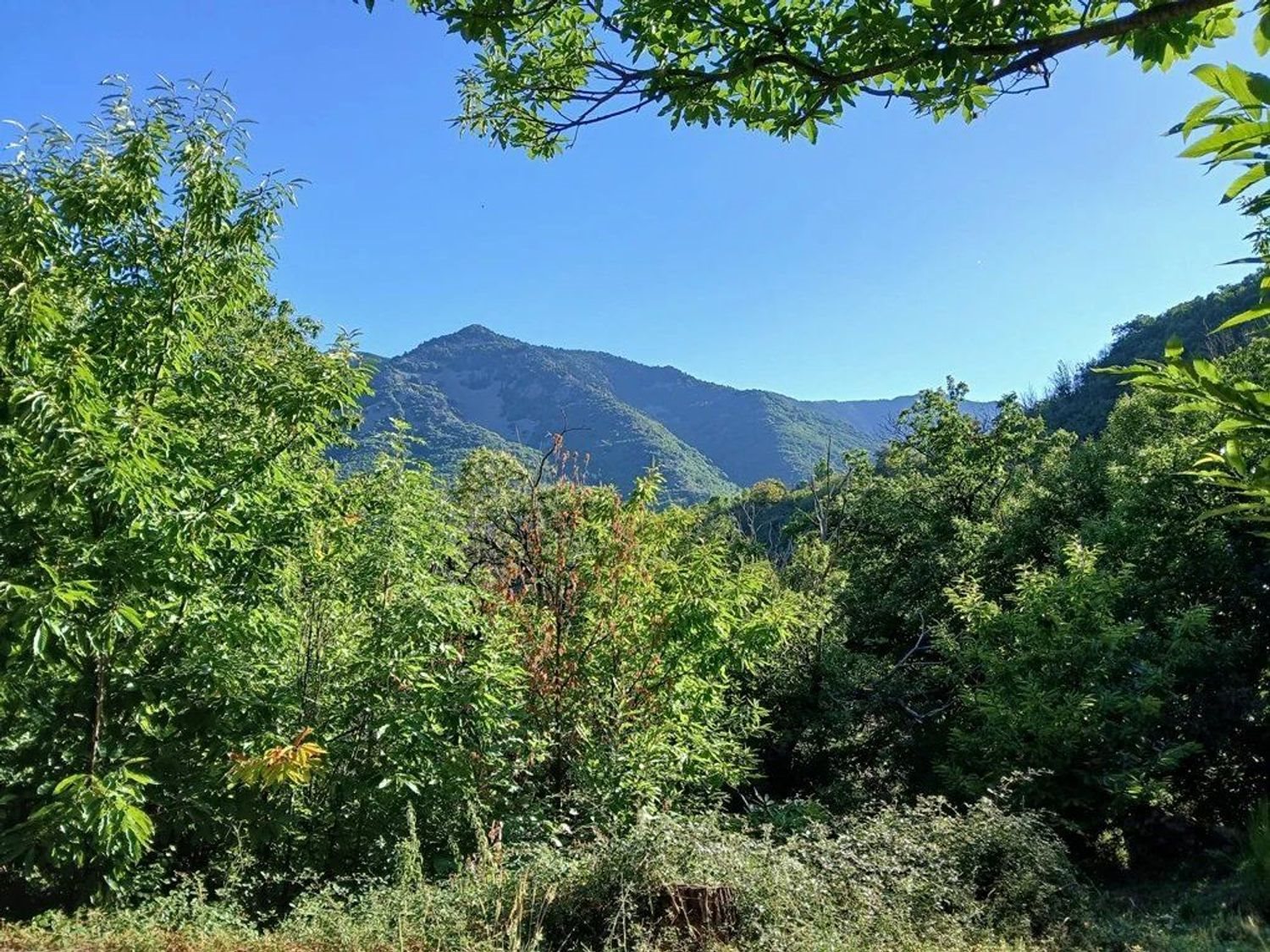 Maison à vendre, 250m², La Souche