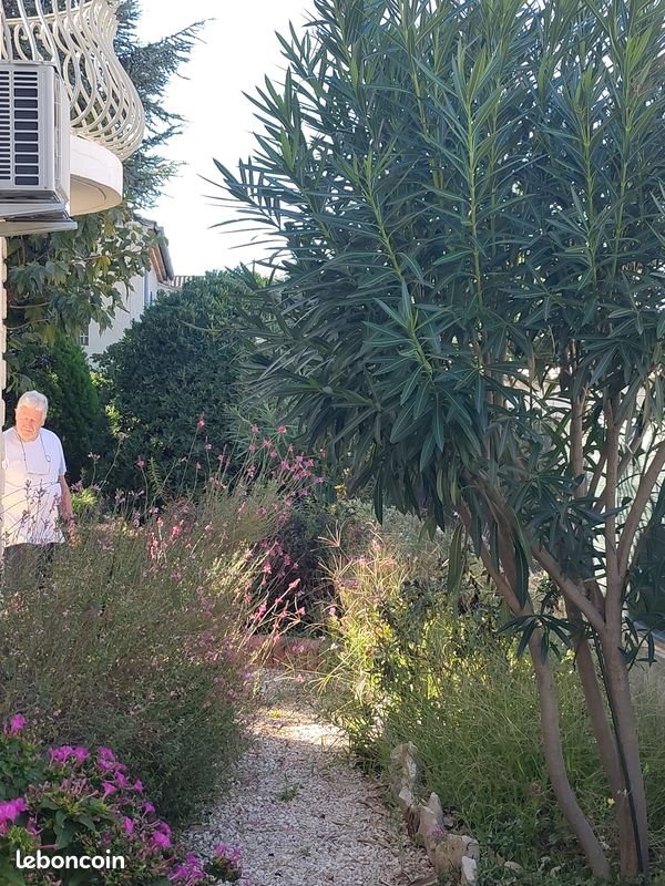 Maison à louer, 154m², Carpentras
