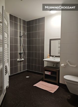 Appartement à louer, 28m², Colmar