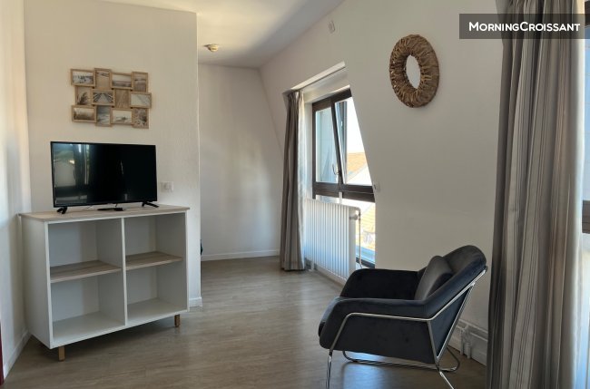 Appartement à louer, 31m², Colmar