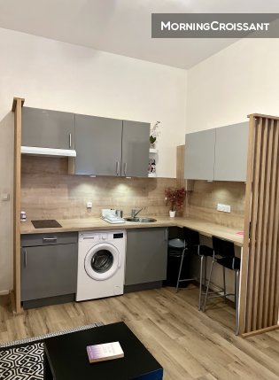 Appartement à louer, 28m², Toulouse