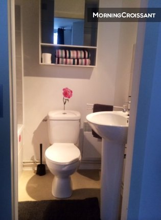 Appartement à louer, 20m², Toulouse