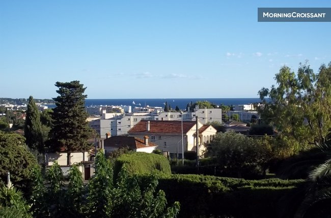 Appartement à louer, 52m², Antibes