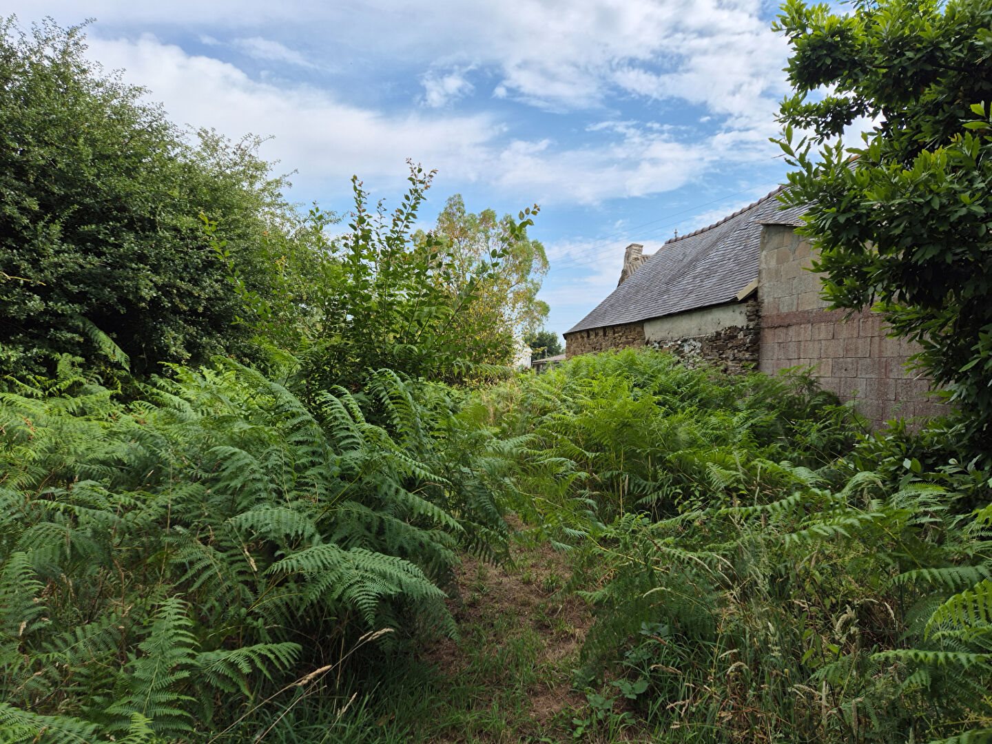 Maison à vendre, 66m², Guiclan