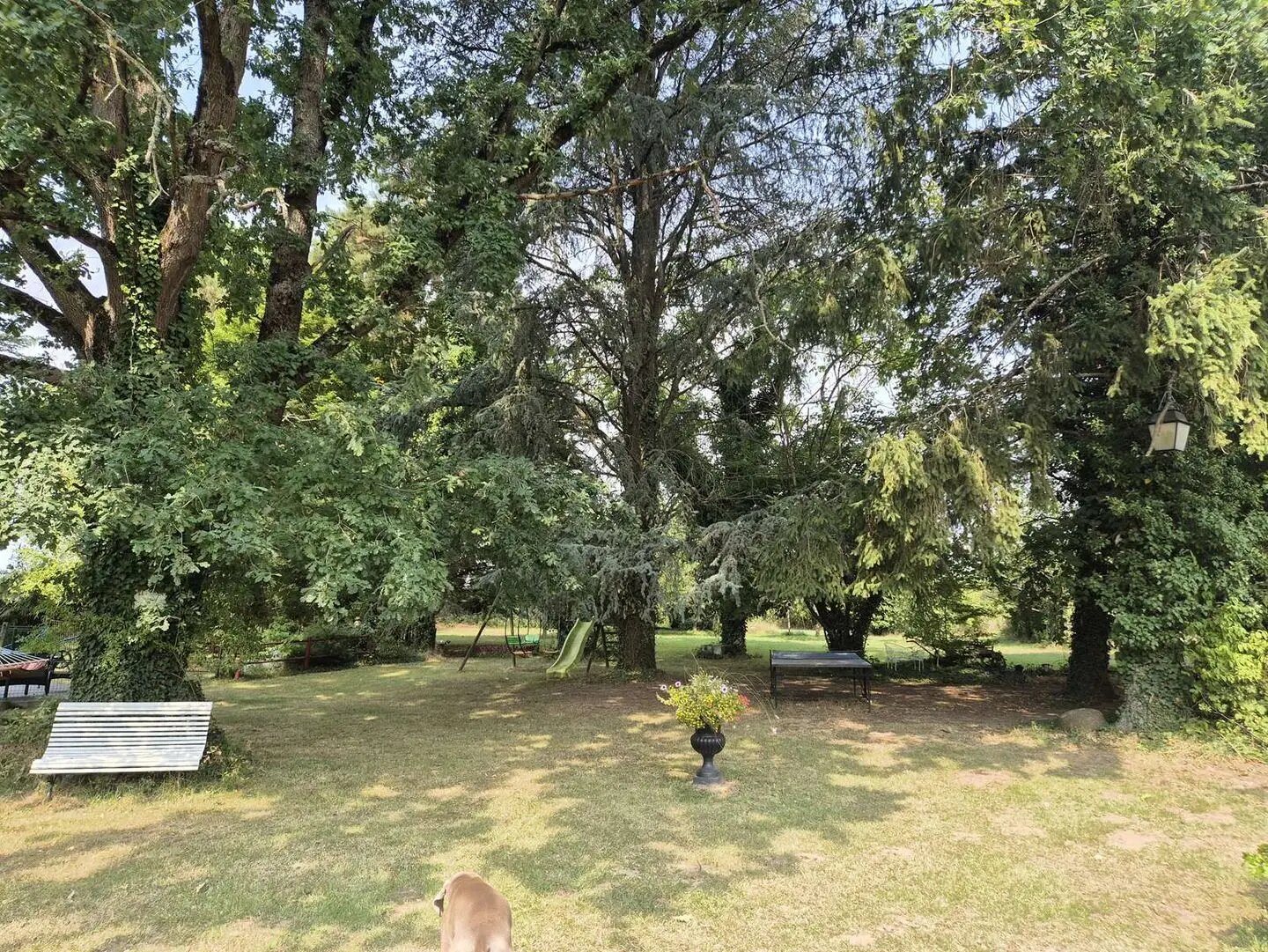 Maison à vendre, 350m², Neuvy-en-Sullias