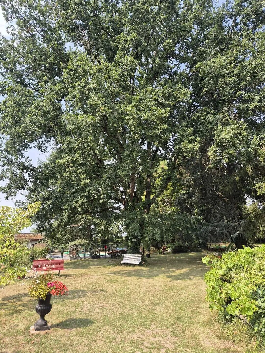 Maison à vendre, 350m², Neuvy-en-Sullias