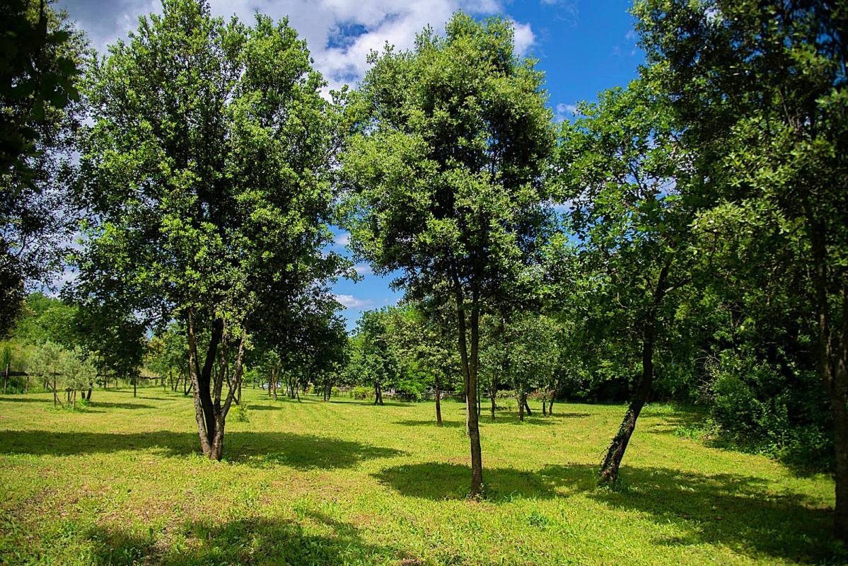 Maison à vendre, 571m², Uzès