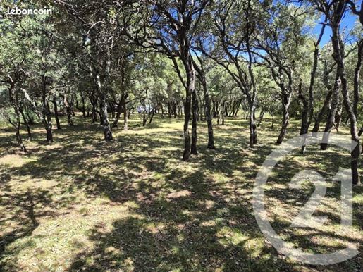Advert pic 0