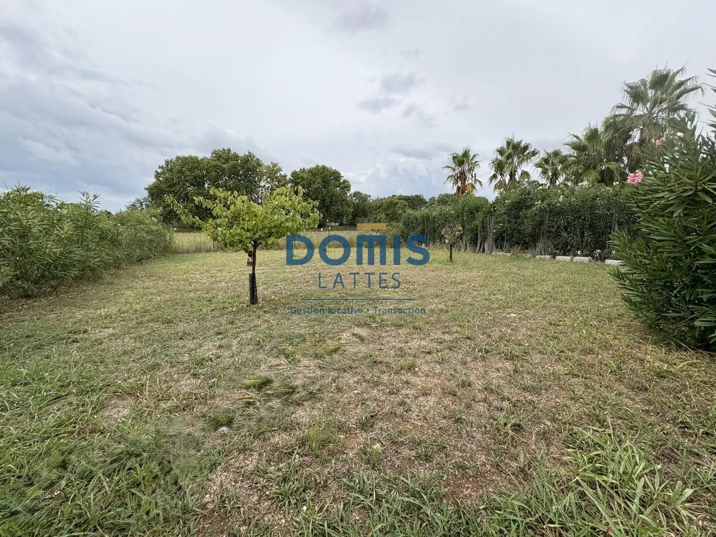 Maison à vendre, 140m², Mauguio