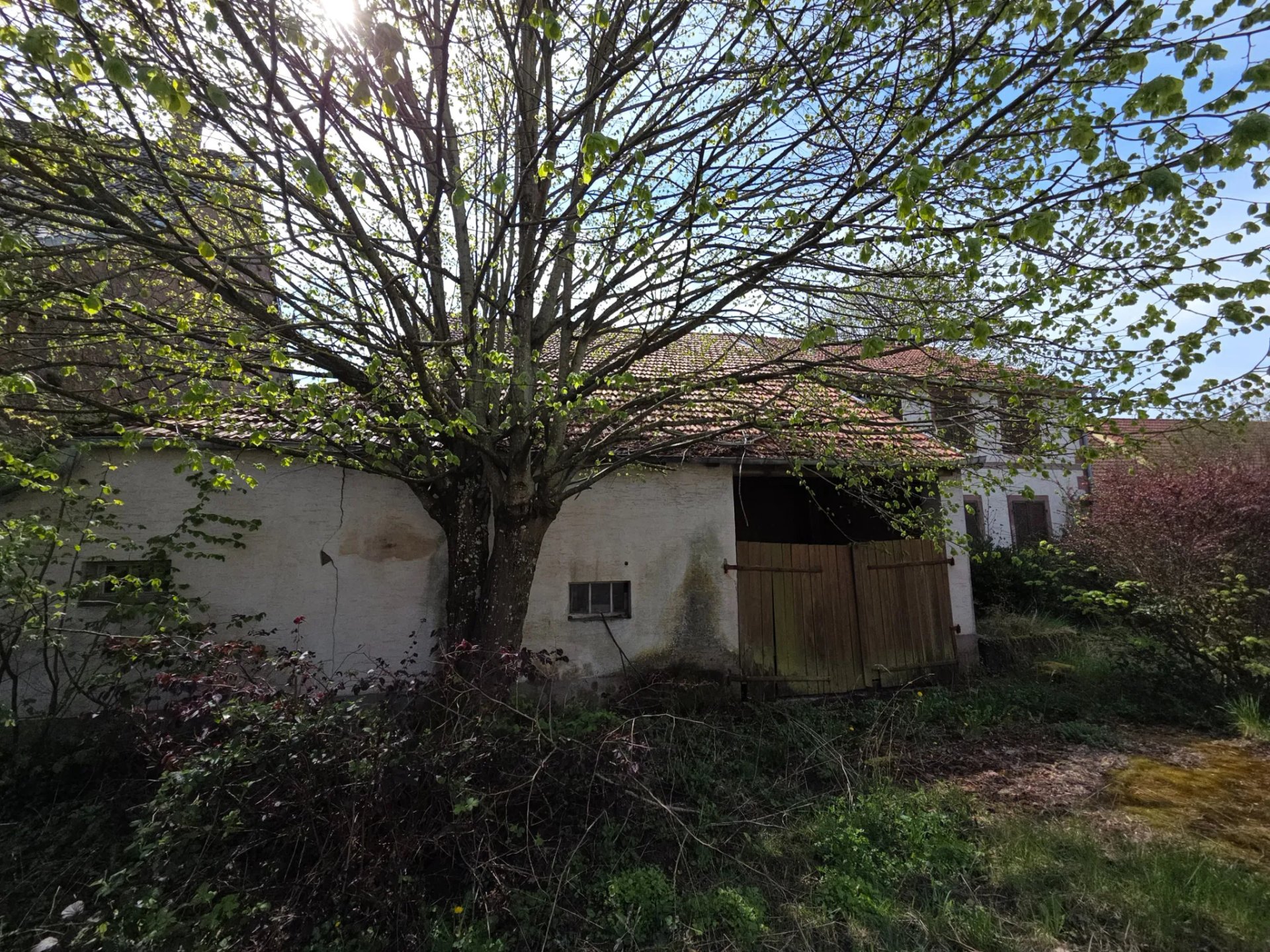 Maison à vendre, 110m², Struth