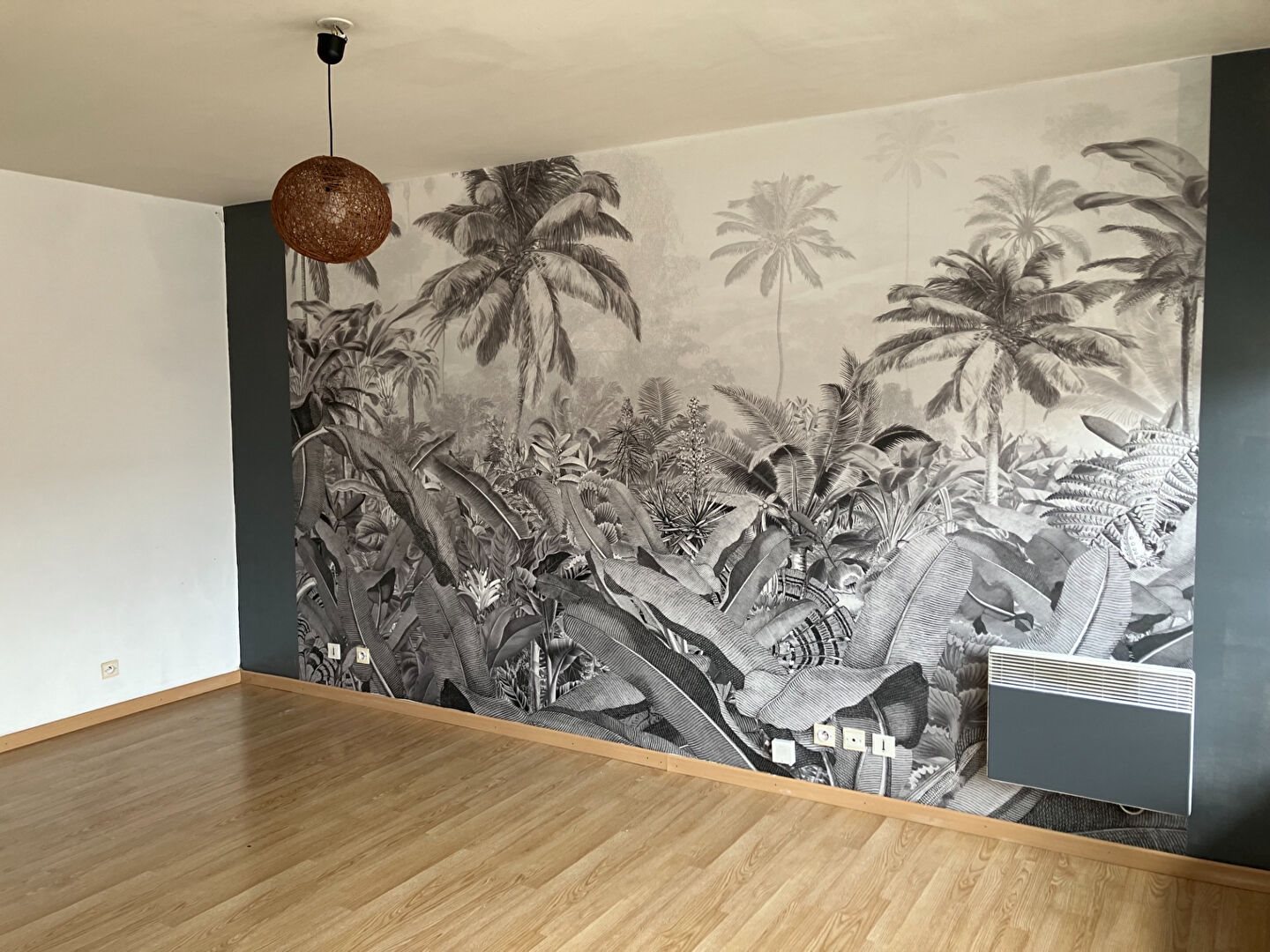 Appartement à louer, 23m², Reims