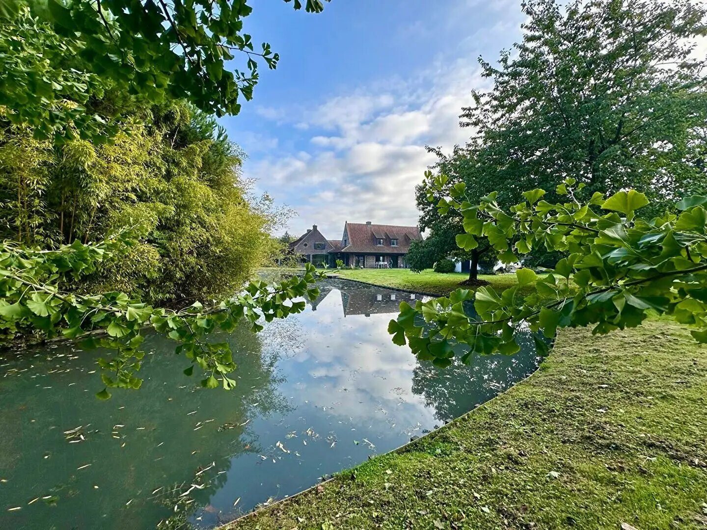 Maison à vendre, 430m², Toufflers