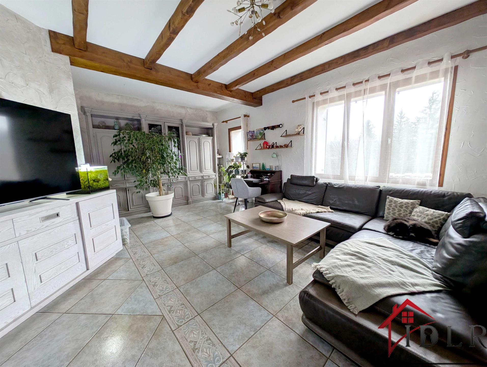 Maison à vendre, 290m², Dortan