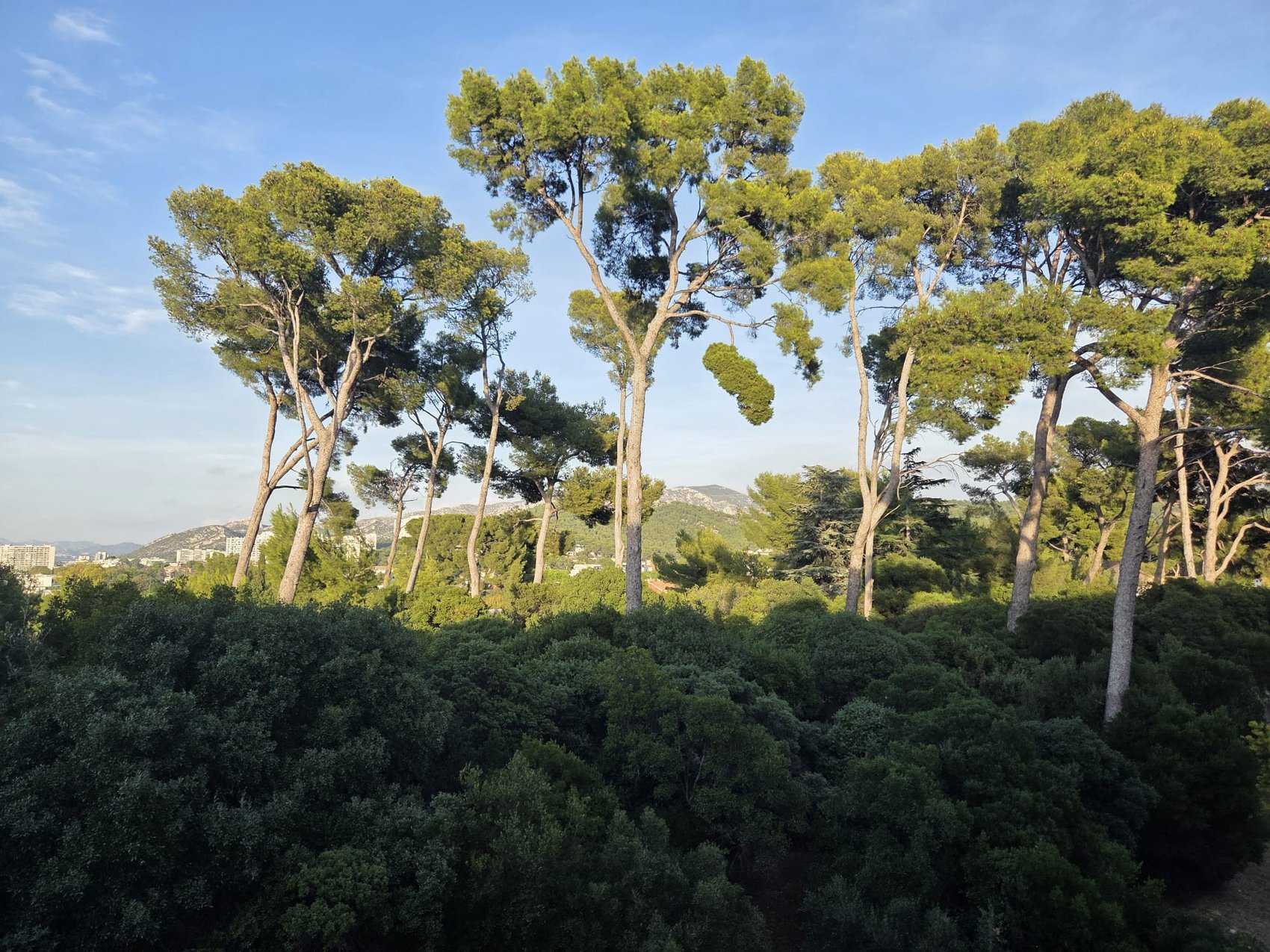 Appartement à vendre, 2m², Marseille 9ème