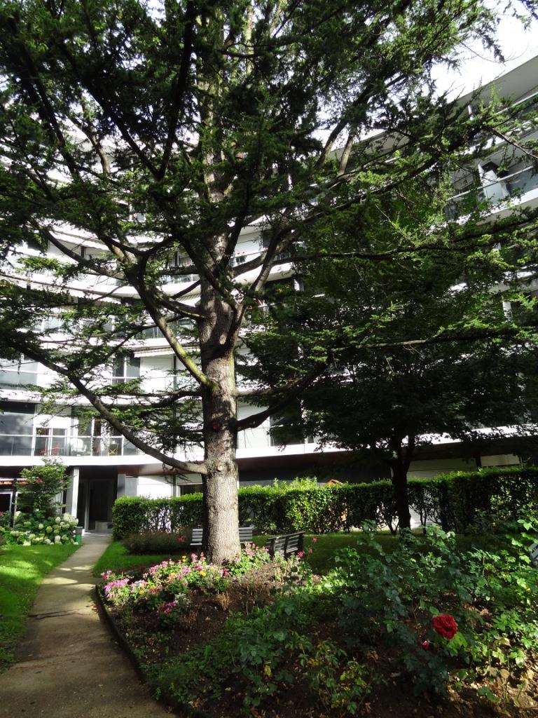 Appartement à vendre, 49m², Saint-Maurice