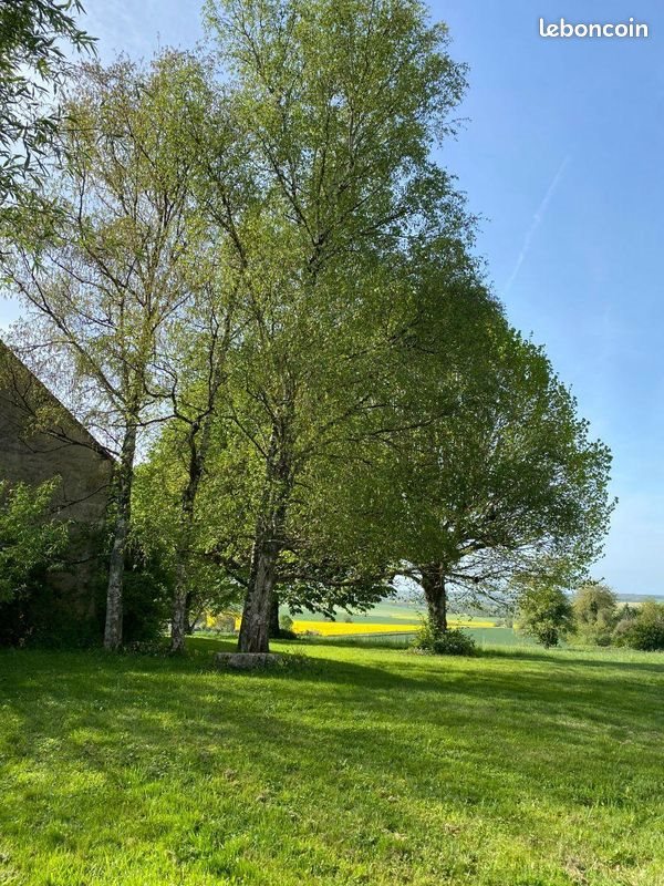 Maison à vendre, 162m², Palluau-sur-Indre