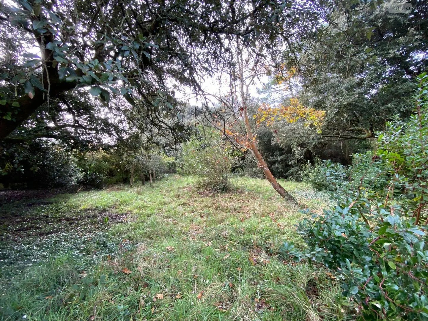Maison à vendre, 45m², Ile d'Aix