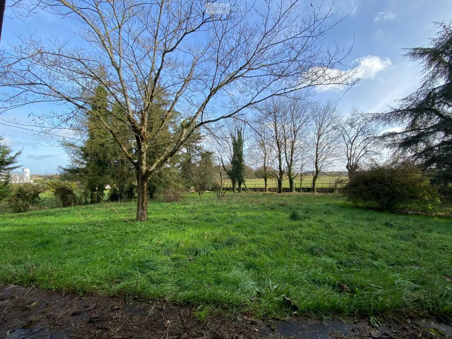 Maison à vendre, 230m², Chaunay
